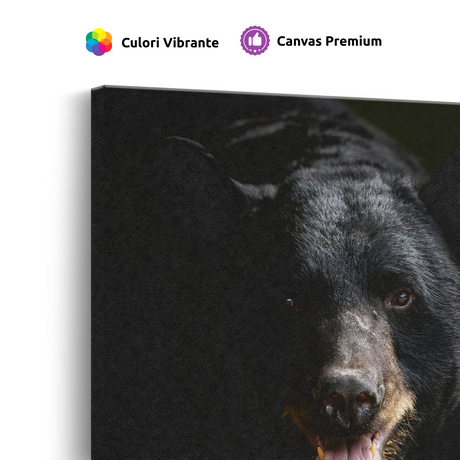 Tablou Canvas Animale Urs Negru în Habitat Natural