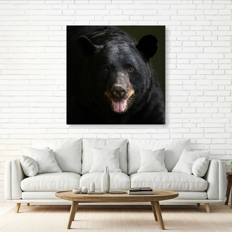 Tablou Canvas Animale Urs Negru în Habitat Natural