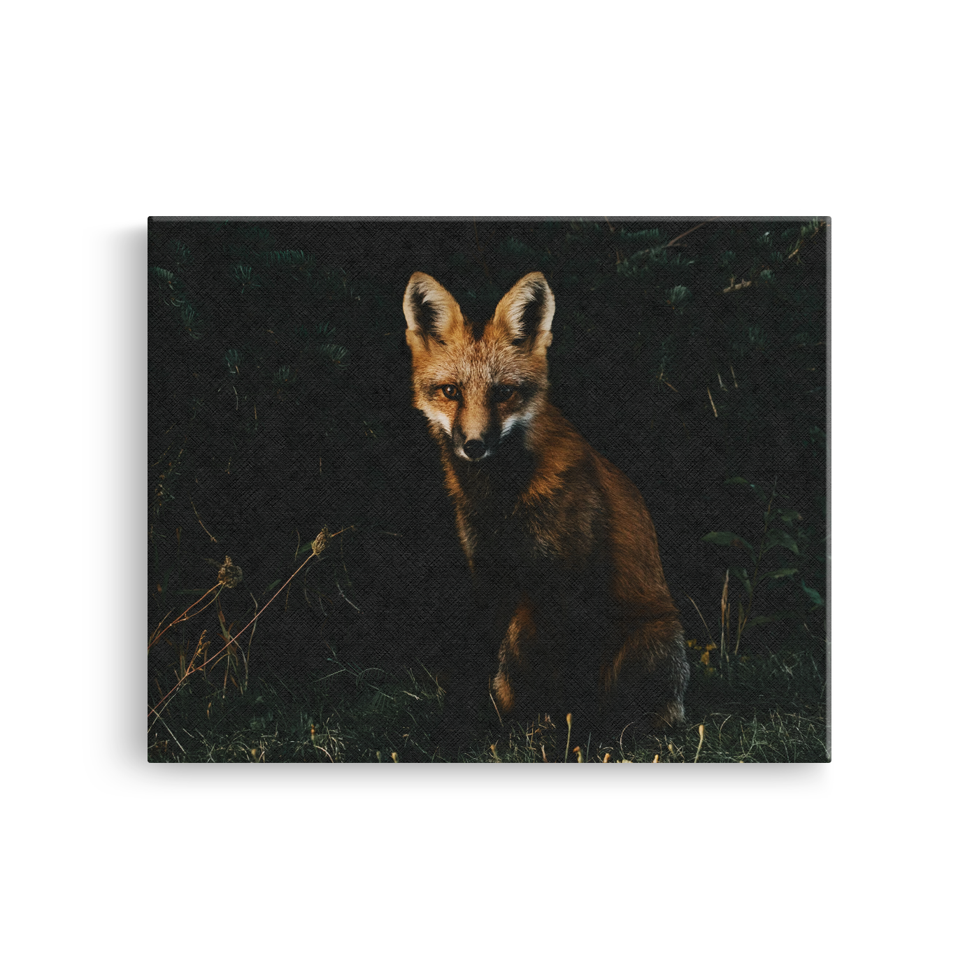 Tablou Canvas Animale Vulpe în Pădure