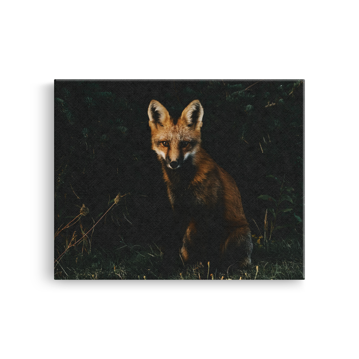 Tablou Canvas Animale Vulpe în Pădure