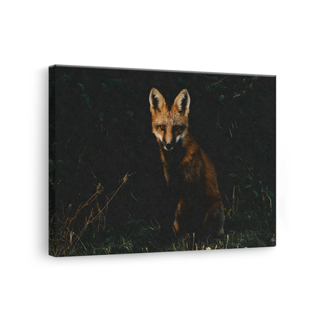 Tablou Canvas Animale Vulpe în Pădure