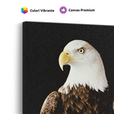 Tablou Canvas Animale Vultur Impunător