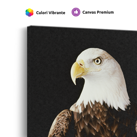 Tablou Canvas Animale Vultur Impunător