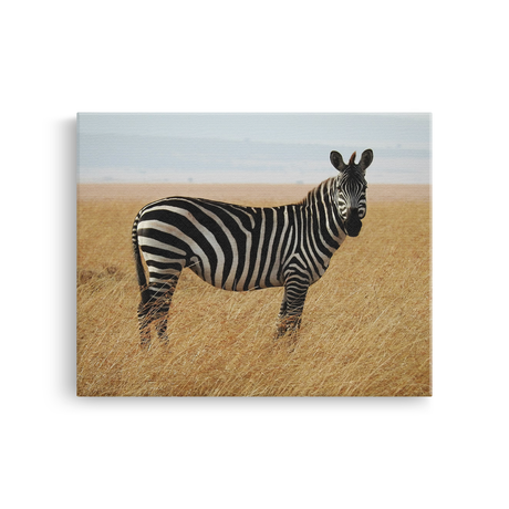 Tablou Canvas Animale Zebră Habitat Natural