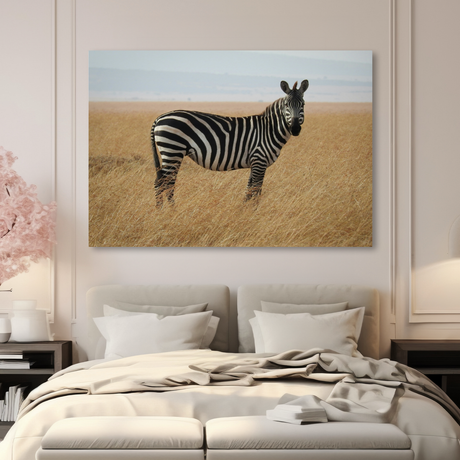 Tablou Canvas Animale Zebra Habitat Natural 