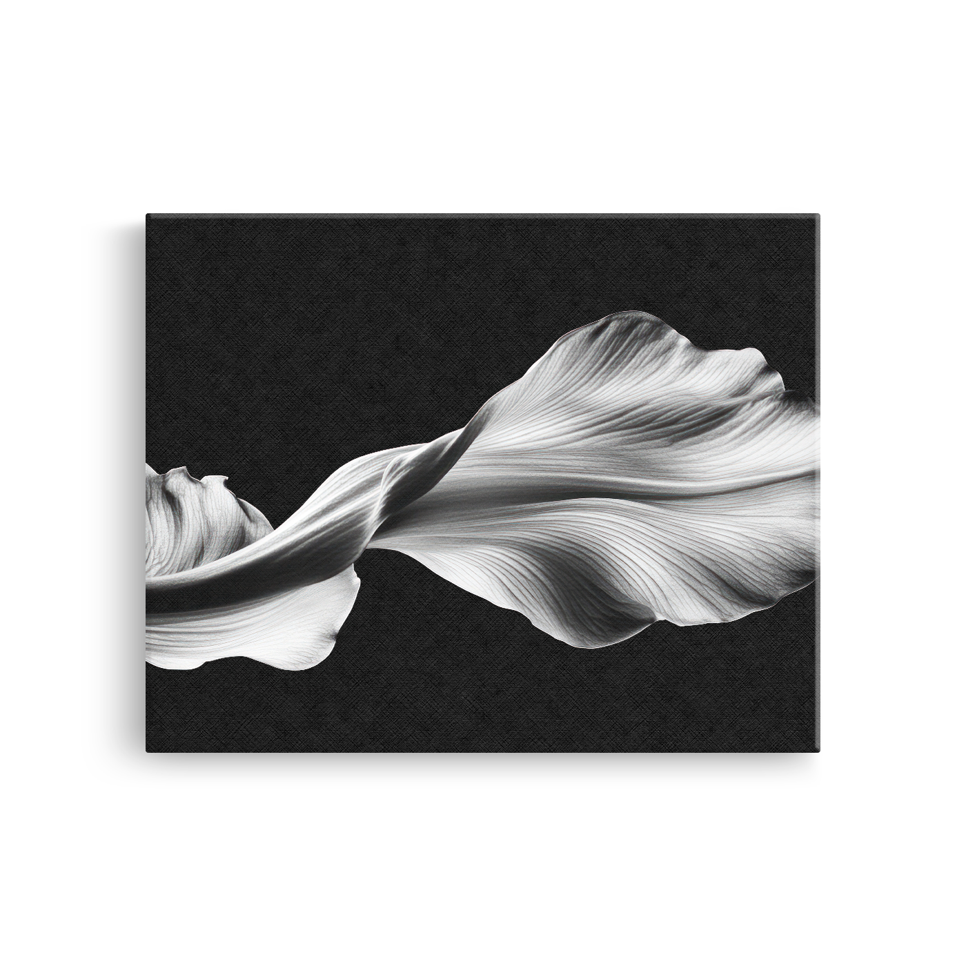 Tablou Canvas Armonia unei Frunze Abstracte - IPCVBW-547-2