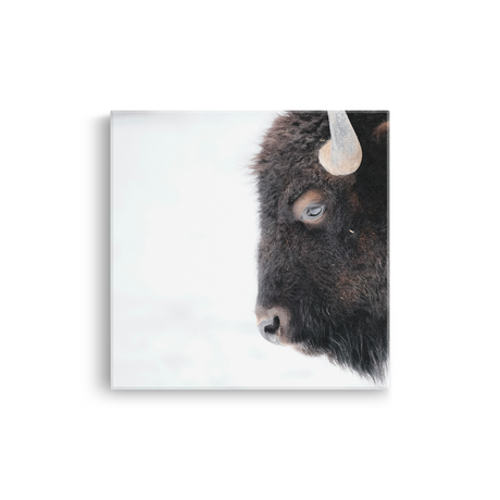 Tablou Canvas Bizon în Cadru de Iarnă, Stil Fotografic Nordic, Alb-Negru