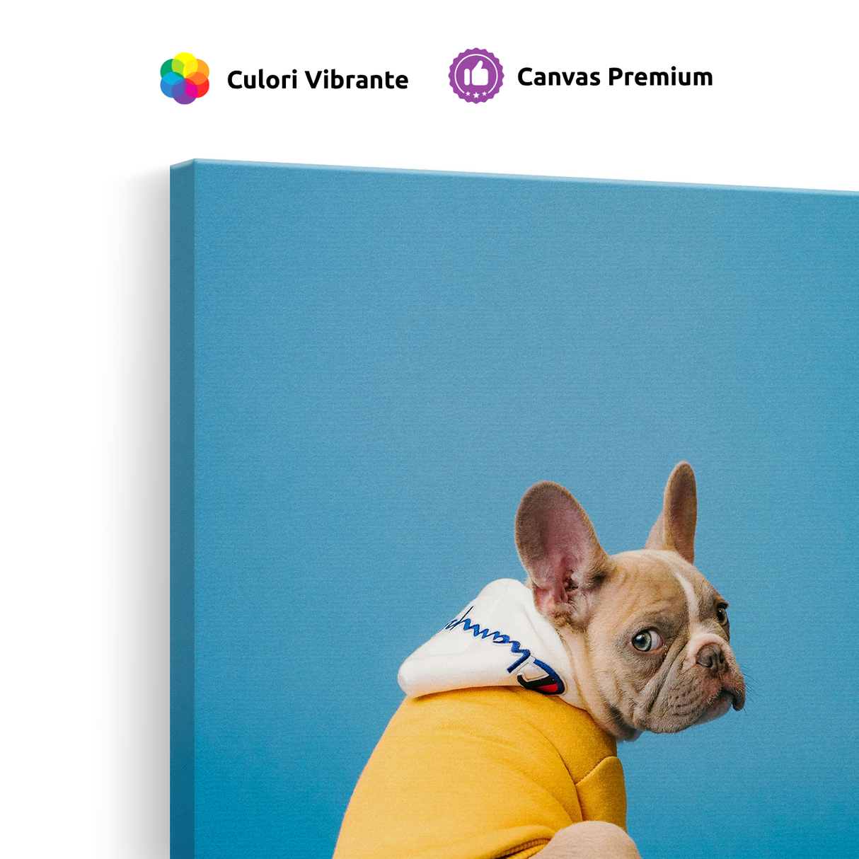 Tablou Canvas Bulldog Francez Stil Urban, Artă Contemporană, Galben-Albastru