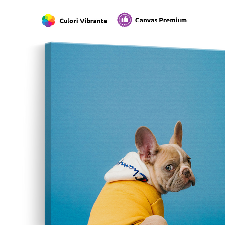 Tablou Canvas Bulldog Francez Stil Urban, Artă Contemporană, Galben-Albastru