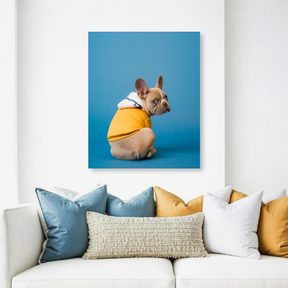 Tablou Canvas Bulldog Francez Stil Urban, Artă Contemporană, Galben-Albastru IPCVANI-326