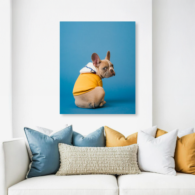 Tablou Canvas Bulldog Francez Stil Urban, Artă Contemporană, Galben-Albastru IPCVANI-326