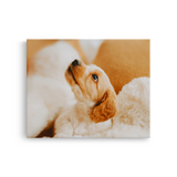 Tablou Canvas Cățel în Decor Cald, Fotografie Canină, Bej-Crem