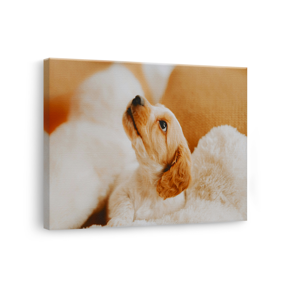 Tablou Canvas Cățel în Decor Cald, Fotografie Canină, Bej-Crem