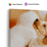 Tablou Canvas Cățel în Decor Cald, Fotografie Canină, Bej-Crem