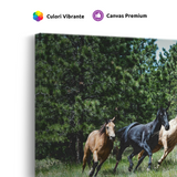 Tablou Canvas Cai în Galop, Natură Sălbatică, Verde