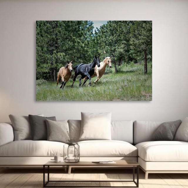 Tablou Canvas Cai în Galop, Natură Sălbatică, Verde IPCVANI-306