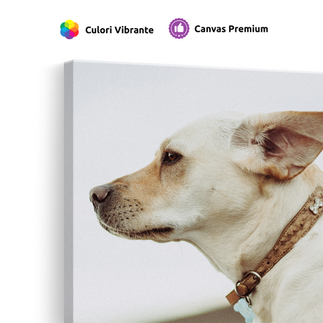 Tablou Canvas Câine Privind în Zare, Fotografie Canină, Bej