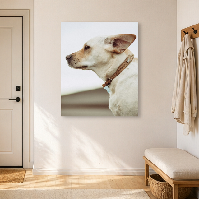 Tablou Canvas Câine Privind în Zare, Fotografie Canină, Bej IPCVANI-319