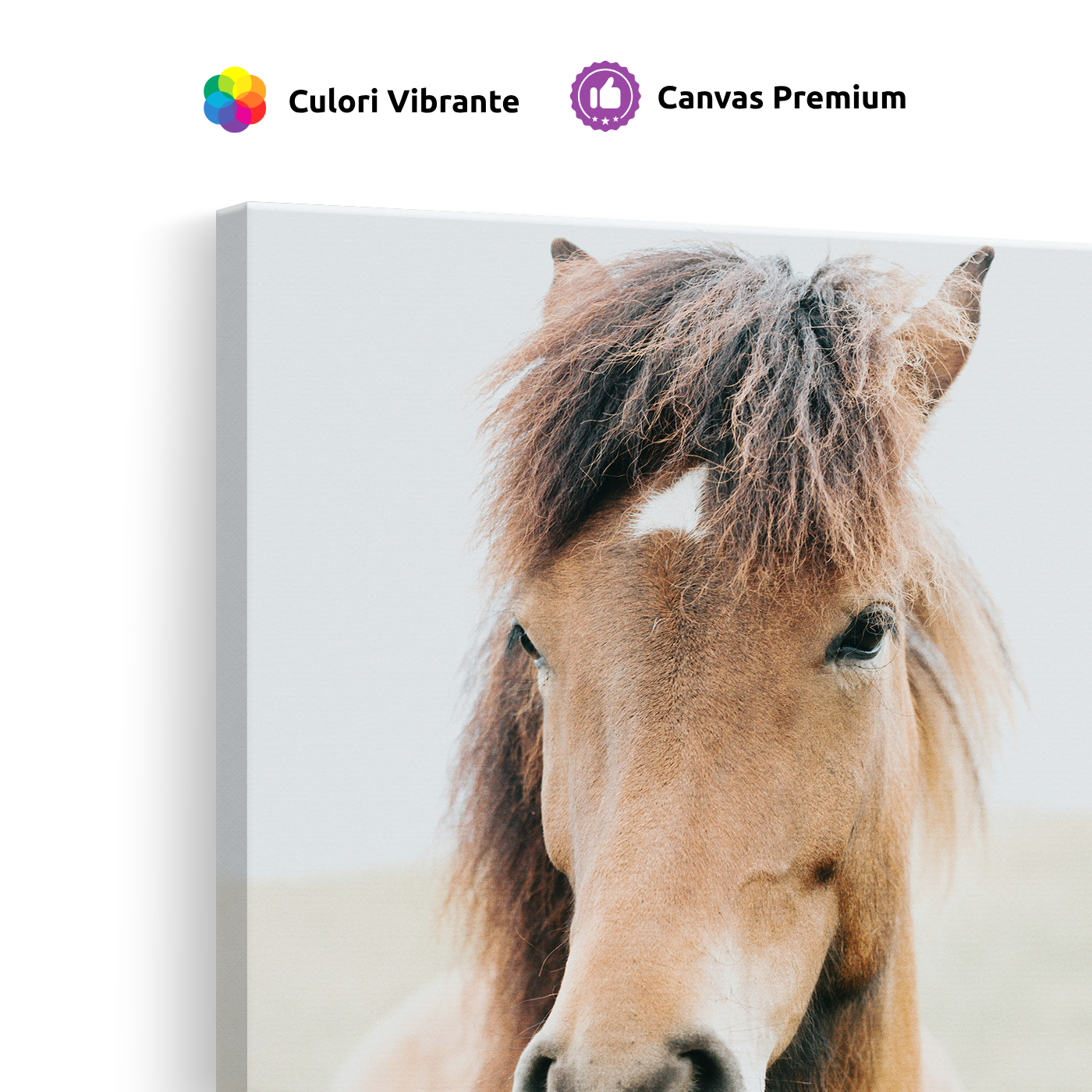Tablou Canvas Cal Maro în Cadru Luminos, Fotografie Ecvestră, Maro-Bej