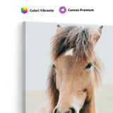 Tablou Canvas Cal Maro în Cadru Luminos, Fotografie Ecvestră, Maro-Bej
