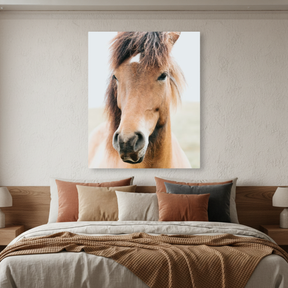 Tablou Canvas Cal Maro în Cadru Luminos, Fotografie Ecvestră, Maro-Bej IPCVANI-332