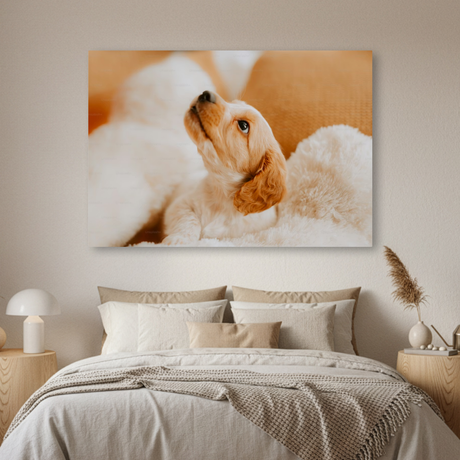Tablou Canvas Cățel în Decor Cald, Fotografie Canină, Bej-Crem IPCVANI-311