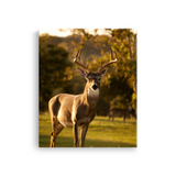Tablou Canvas Cerb în Natură la Apus, Cadru Natural Liniștit, Maro-Verde
