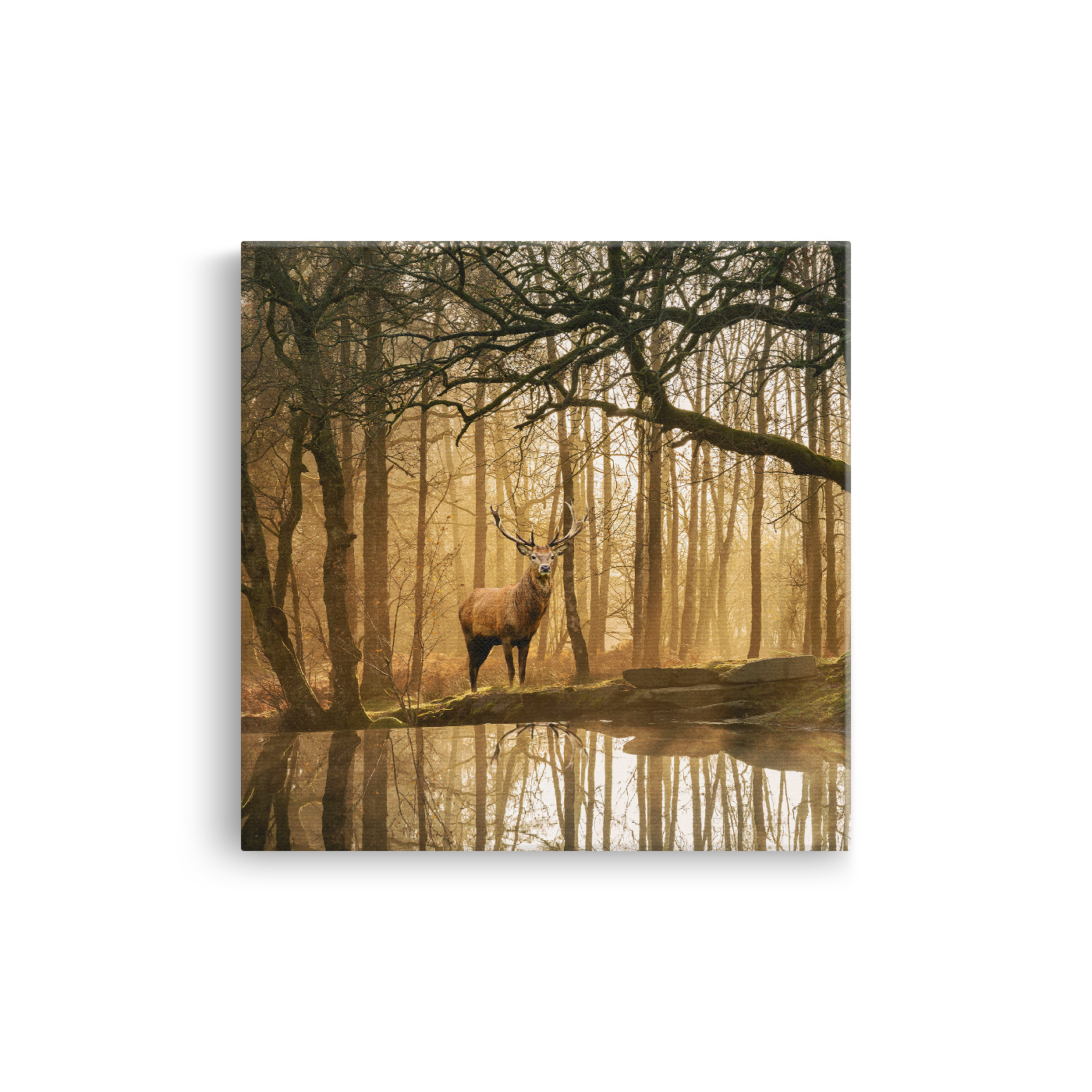 Tablou Canvas Cerb în Pădure Mistică, Stil Fotografic Cinematic, Maro-Auriu