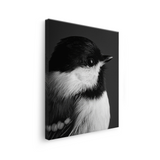 Tablou Canvas Delicatețea unei Păsări în Alb și Negru - IPCVBW-539-3