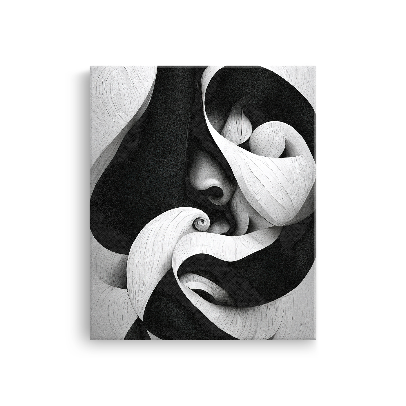 Tablou Canvas Diferite Forme Abstracte în Alb Negru - IPCVBW-530-2