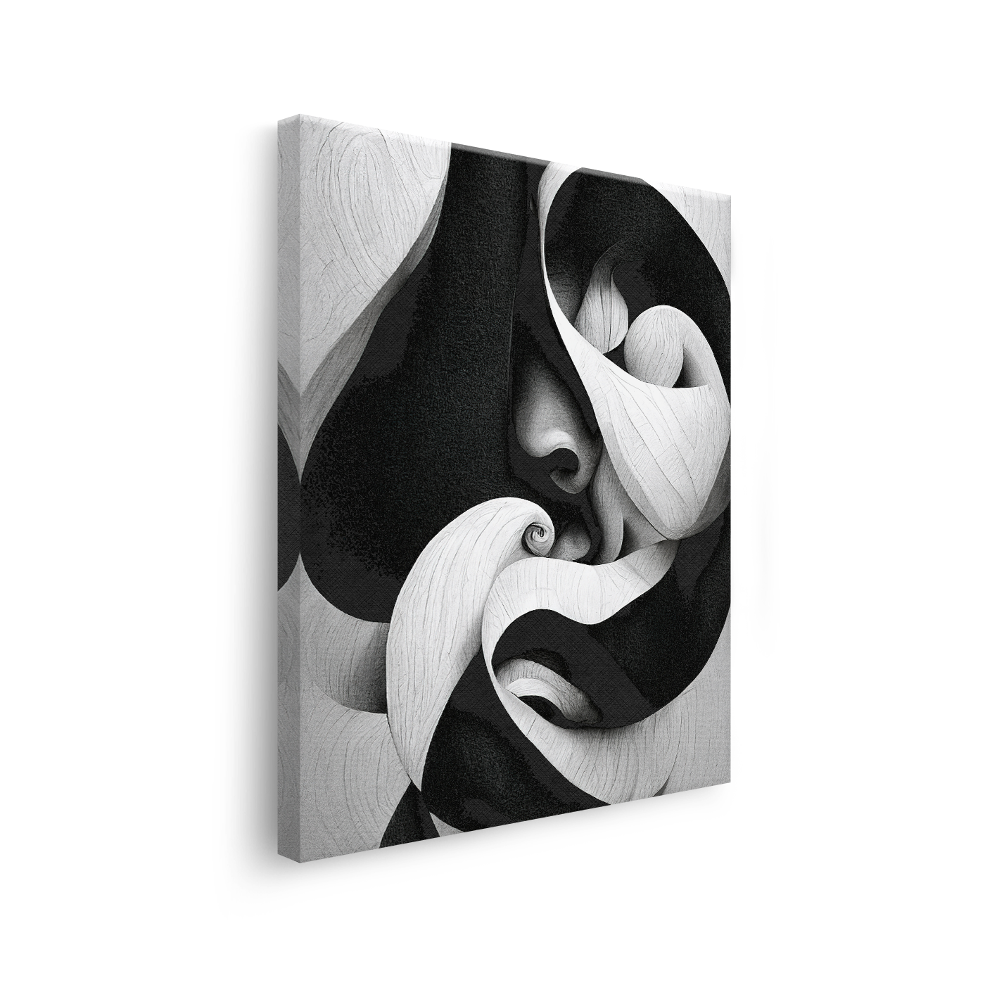 Tablou Canvas Diferite Forme Abstracte în Alb Negru - IPCVBW-530-3