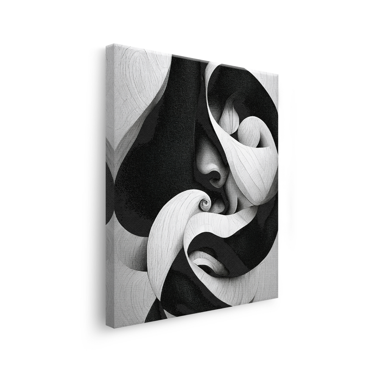 Tablou Canvas Diferite Forme Abstracte în Alb Negru - IPCVBW-530-3
