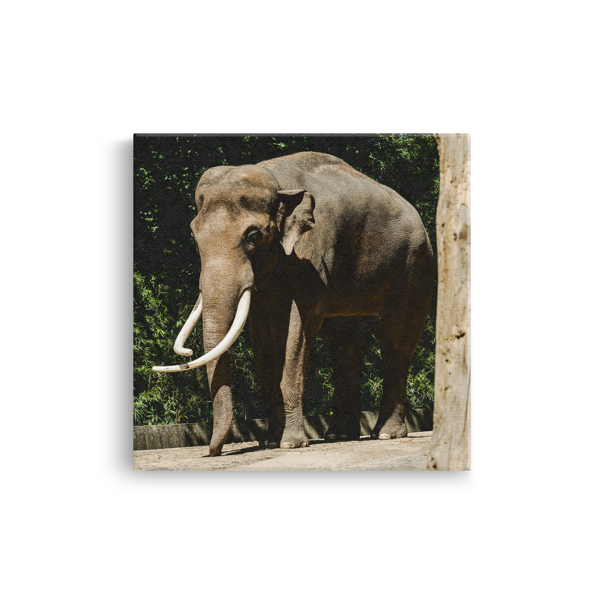 Tablou Canvas Elefant Impunător, Compoziție Fotografică Safari, Maro-Verde