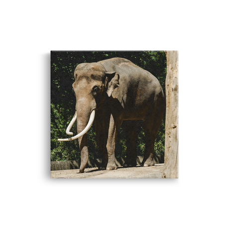 Tablou Canvas Elefant Impunător, Compoziție Fotografică Safari, Maro-Verde
