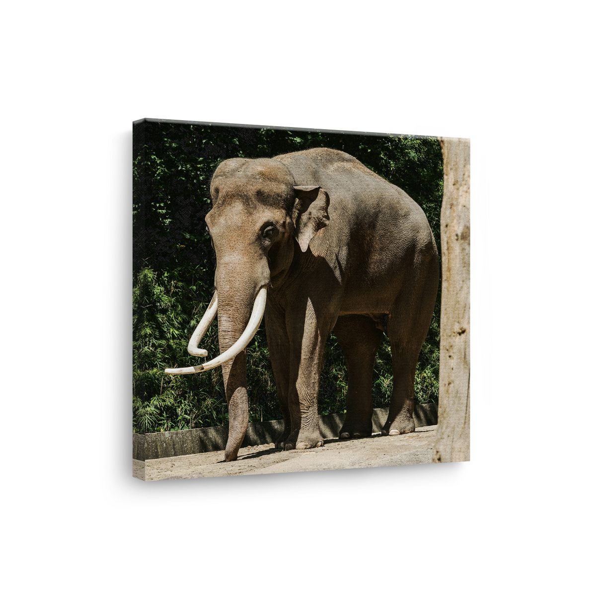 Tablou Canvas Elefant Impunător, Compoziție Fotografică Safari, Maro-Verde