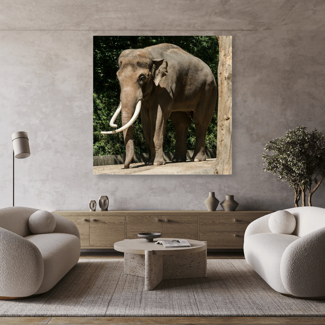 Tablou Canvas Elefant Impunător, Compoziție Fotografică Safari, Maro-Verde IPCVANI-346
