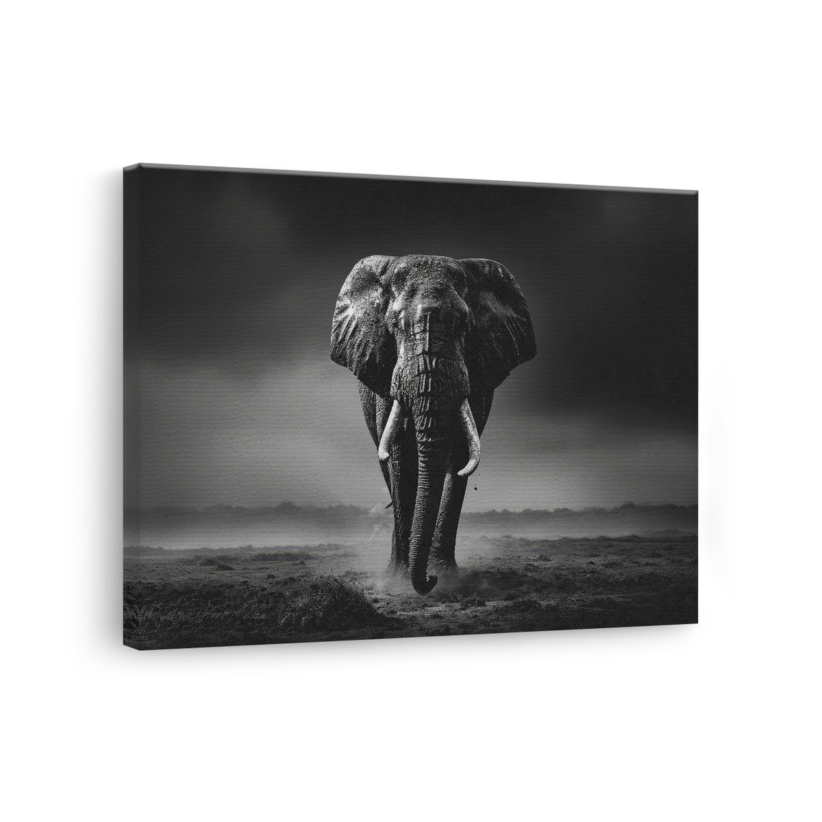 Tablou Canvas Elefant în Inima Junglei Alb-Negru - IPCVBW-544-3