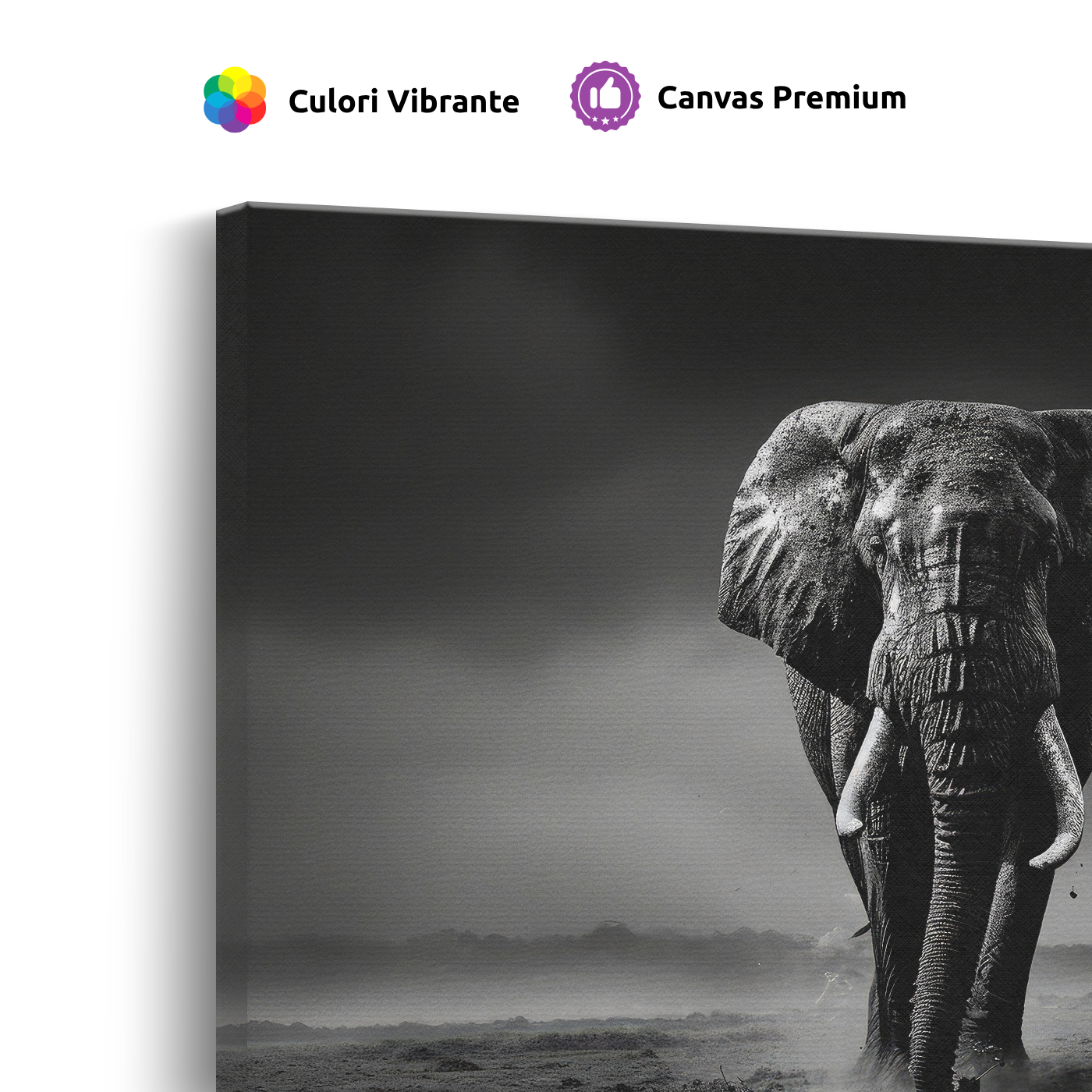Tablou Canvas Elefant în Inima Junglei Alb-Negru - IPCVBW-544-4