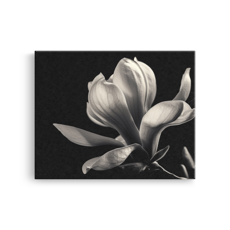 Tablou Canvas Eleganța Magnoliei Înflorite - IPCVBW-548-2