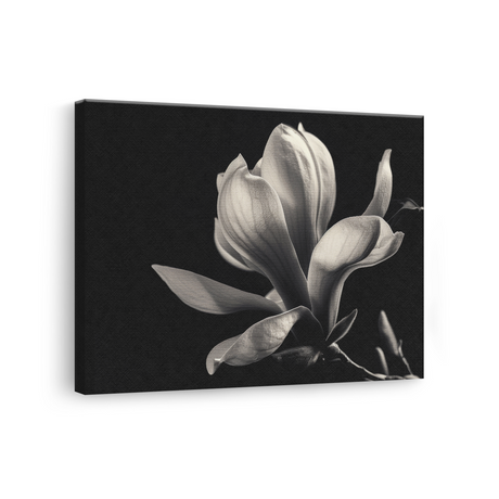 Tablou Canvas Eleganța Magnoliei Înflorite - IPCVBW-548-3