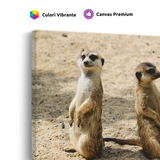 Tablou Canvas Familie de Suricate, Wildlife, Bej-Maro