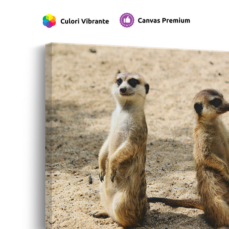 Tablou Canvas Familie de Suricate, Wildlife, Bej-Maro