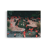 Tablou Canvas Flamingo Roz în Lagună, Natură Exotică, Roz-Verde