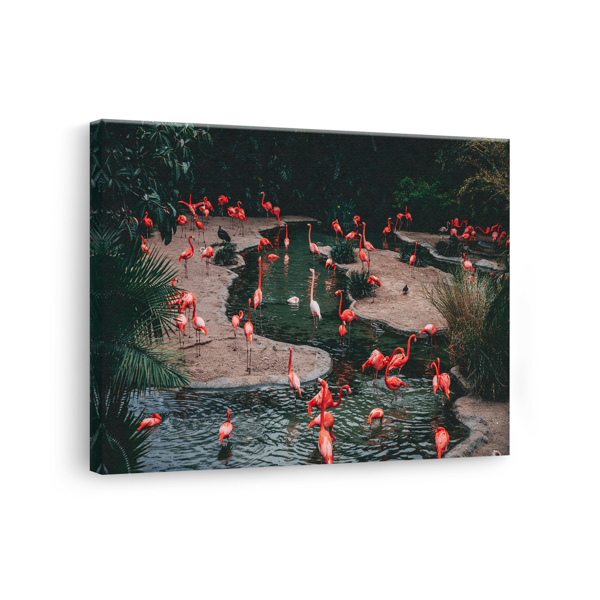 Tablou Canvas Flamingo Roz în Lagună, Natură Exotică, Roz-Verde