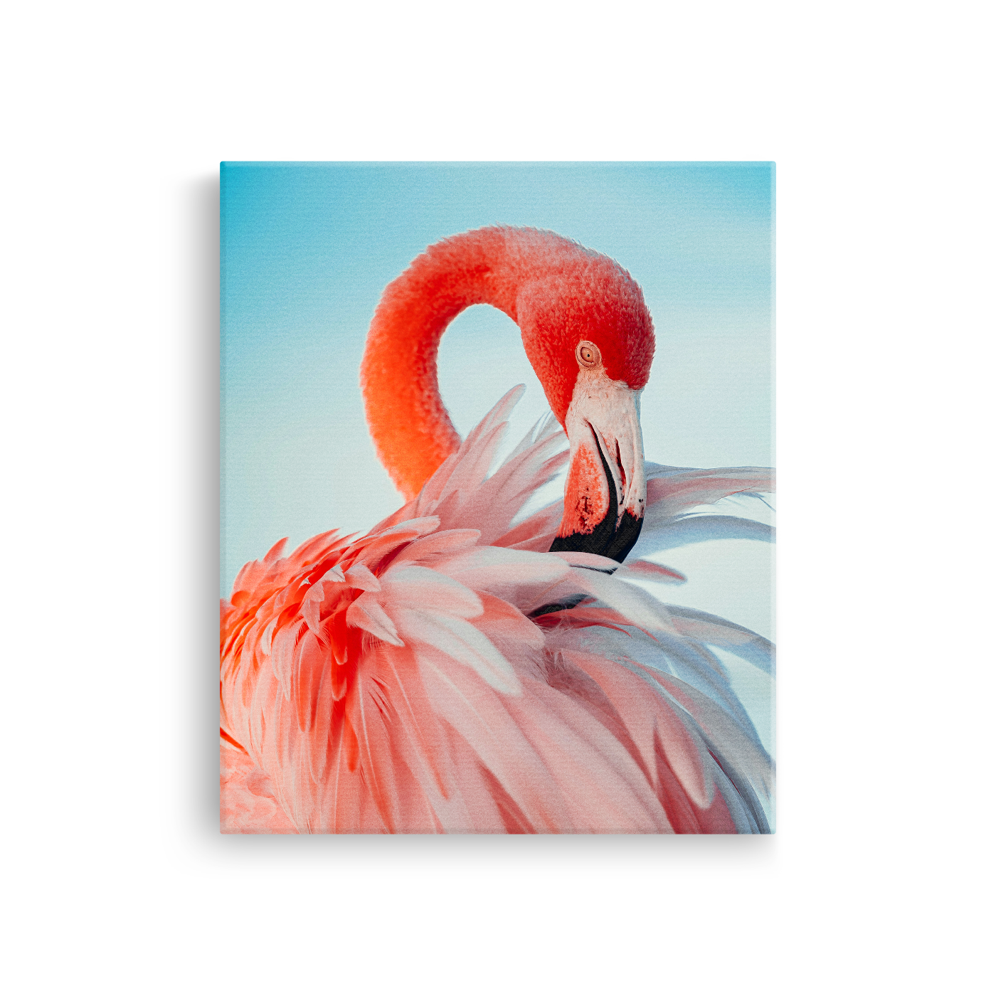 Tablou Canvas Flamingo cu Penaj Delicat, Fotografie Artistică, Roz-Albastru