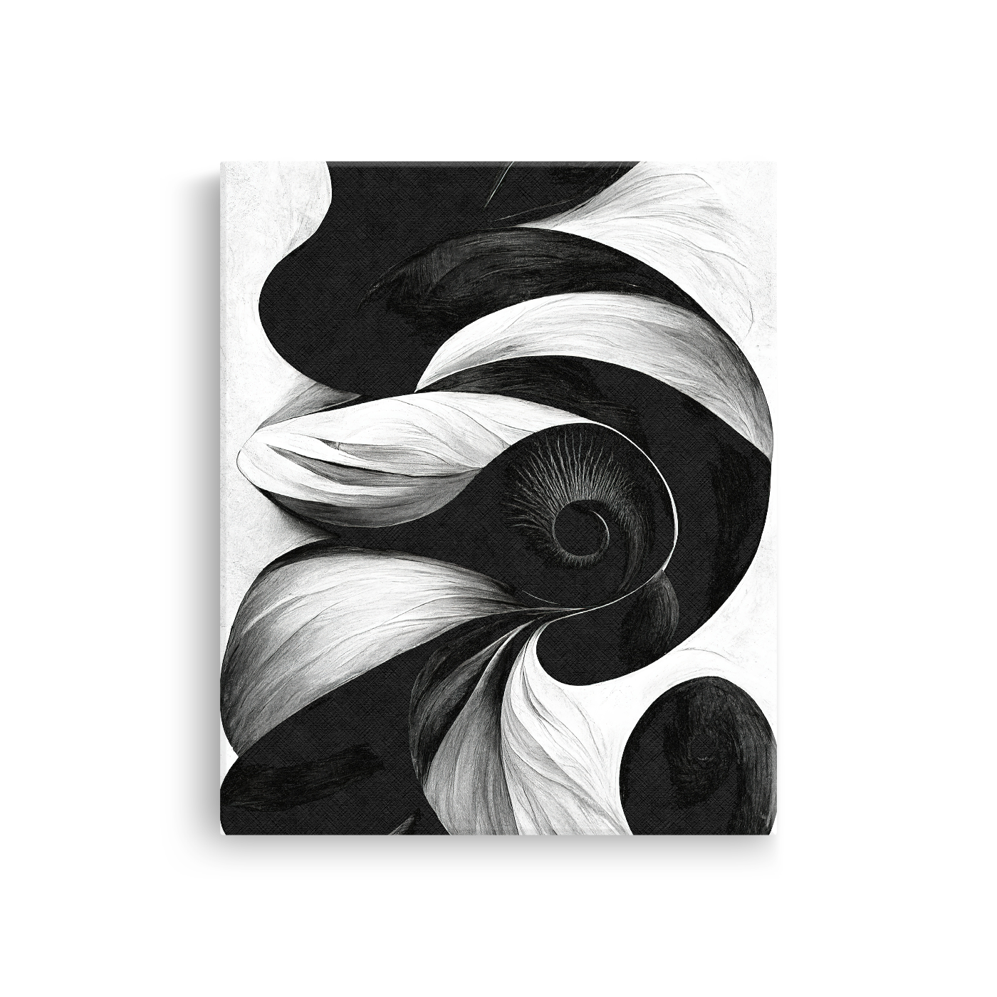 Tablou Canvas Forme Abstracte cu Ochi Artistic în Alb Negru - IPCVBW-534-2