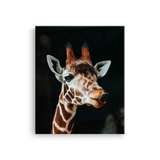 Tablou Canvas Girafă cu Expresie Jucăușă, Artă Fotografică, Maro-Negru