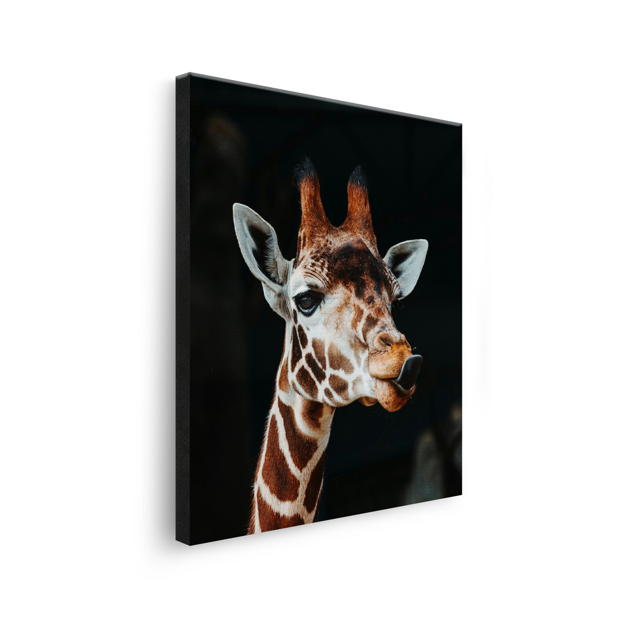 Tablou Canvas Girafă cu Expresie Jucăușă, Artă Fotografică, Maro-Negru