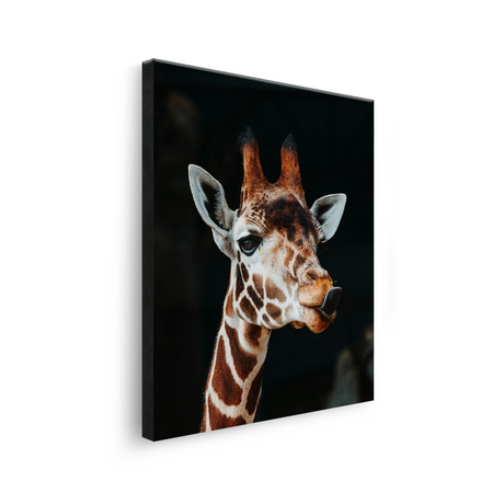 Tablou Canvas Girafă cu Expresie Jucăușă, Artă Fotografică, Maro-Negru