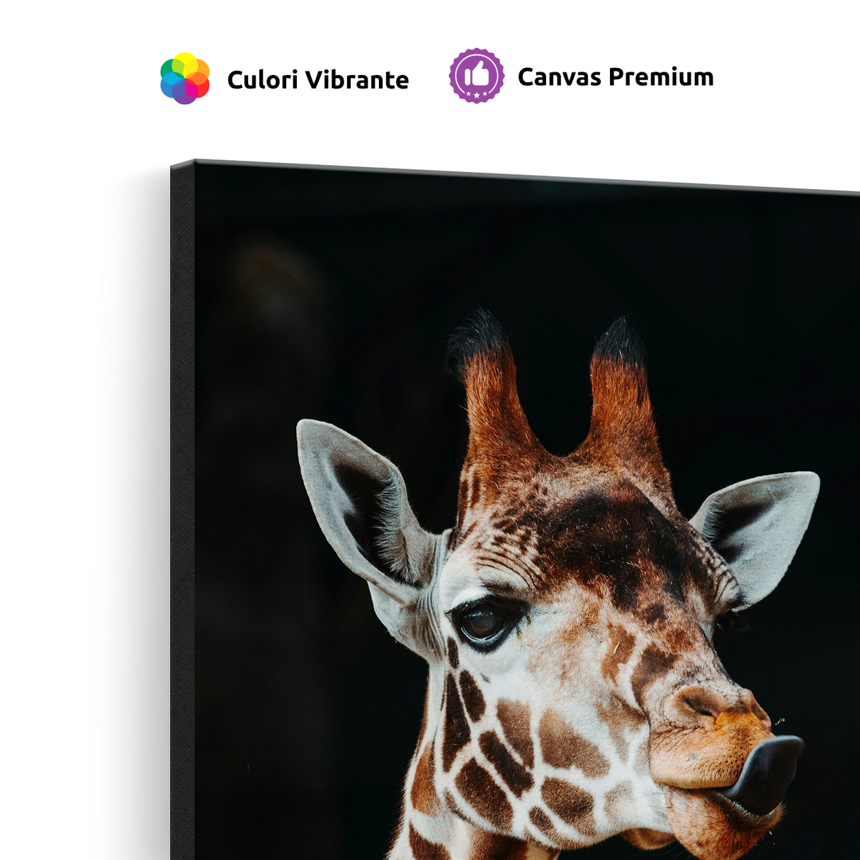 Tablou Canvas Girafă cu Expresie Jucăușă, Artă Fotografică, Maro-Negru